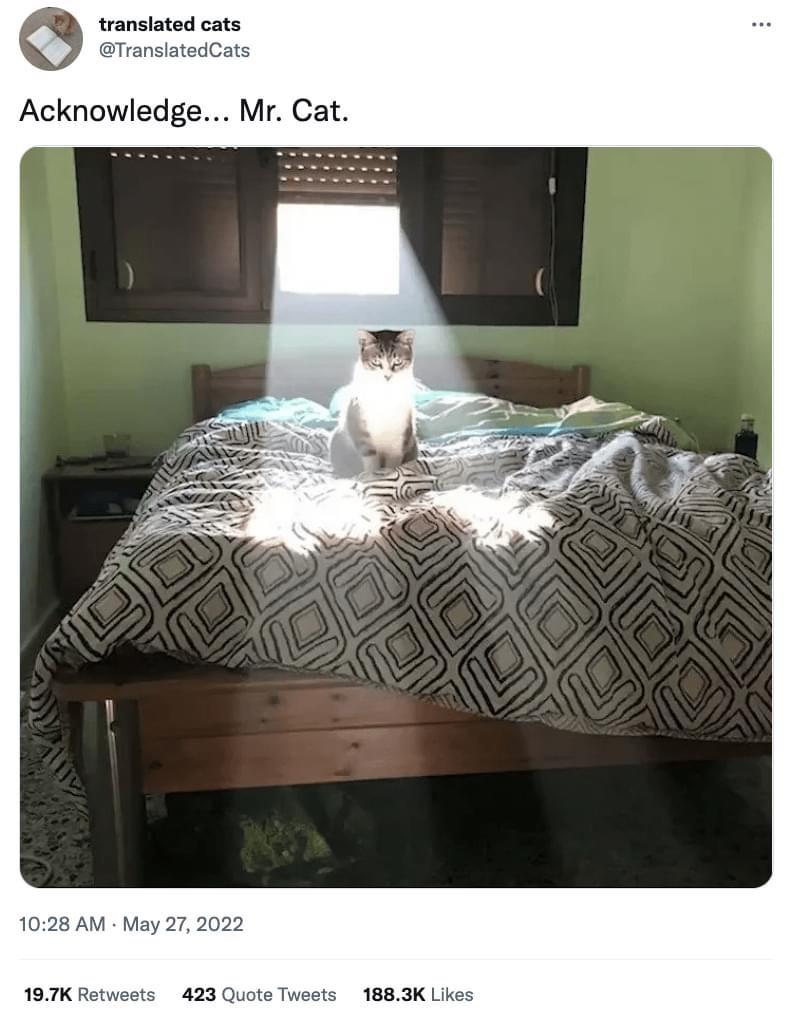 he+has+a+side+quest+for+you