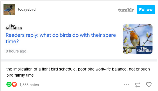 need+more+bird+family+time