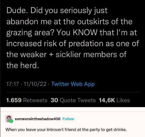 why+have+you+forsaken+me%3F