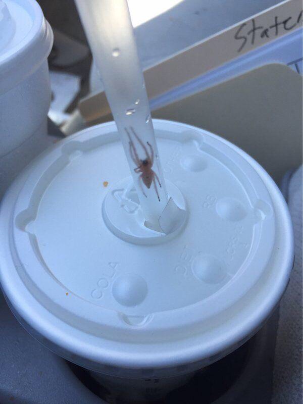 nope+nope+nope+nope+nope+nope+nope