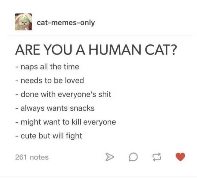 i+feel+more+like+a+human+sloth%2C+tbh