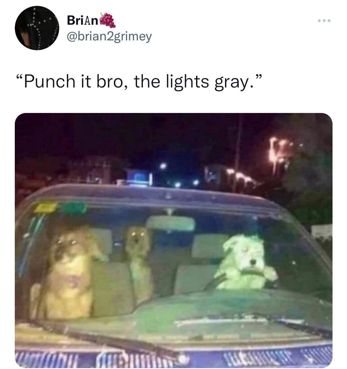 pedal+to+the+metal%21