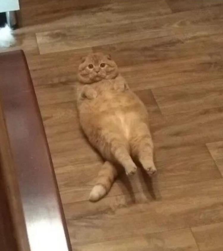 actual+image+of+me+doing+sit+ups