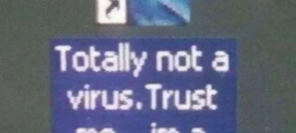 never+trust+a+dolphin
