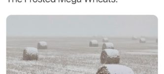 frosted+mega+wheats