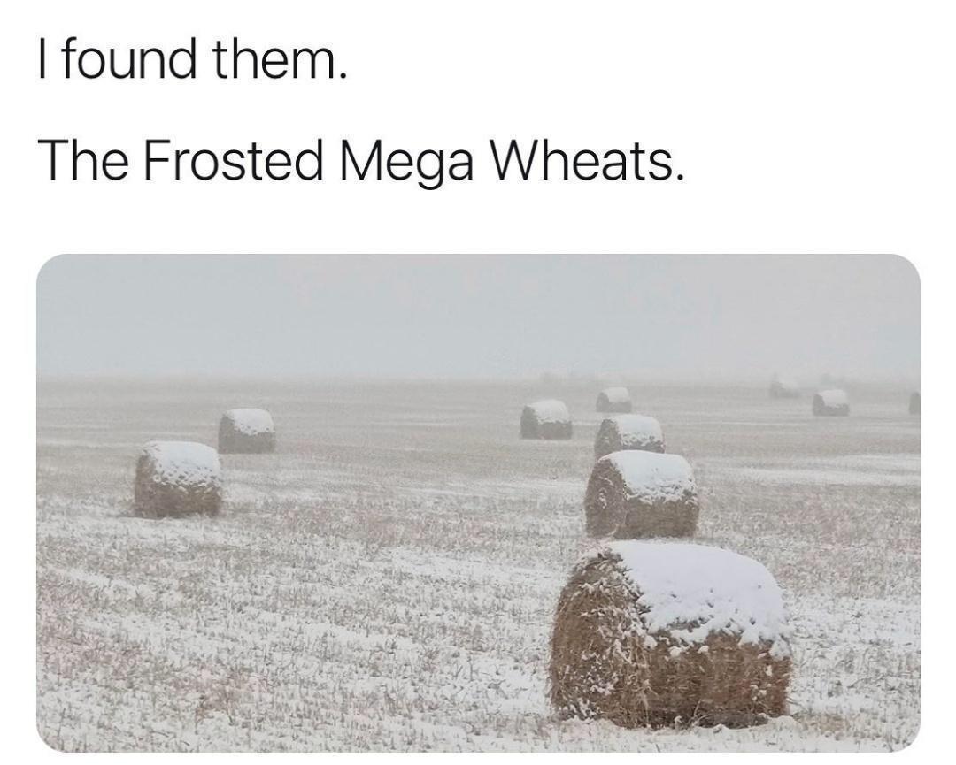 frosted+mega+wheats
