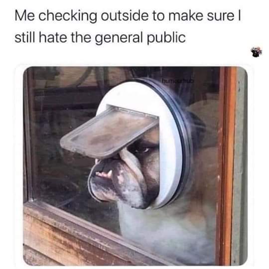 still+hate+%26%238217%3Bem