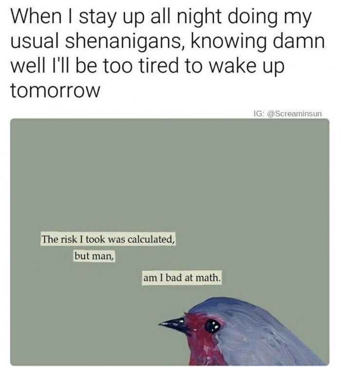 never+made+it+past+algebra+in+school