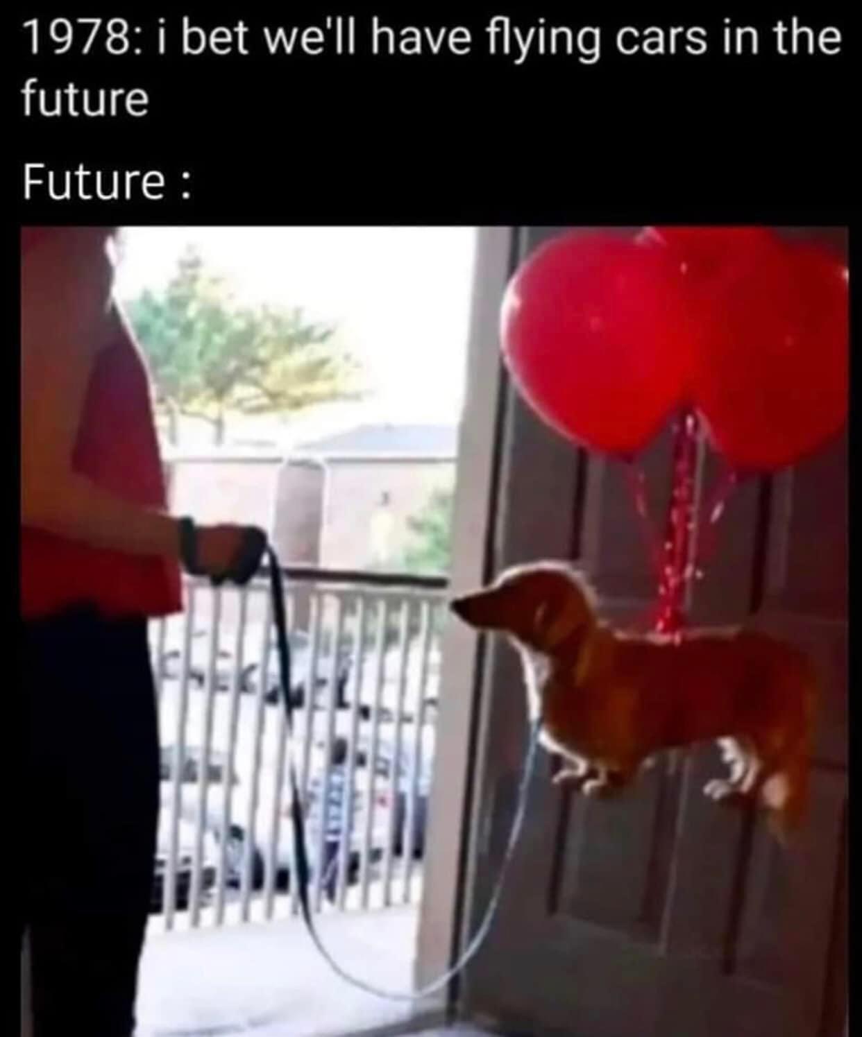 floating+dogs+is+the+best+we+can+do