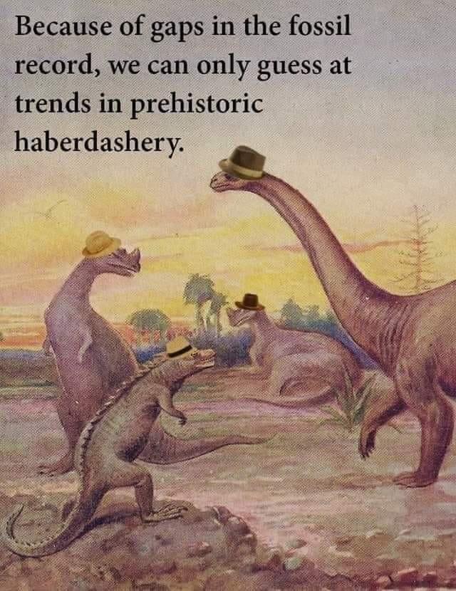 prehistoric+haberdashery