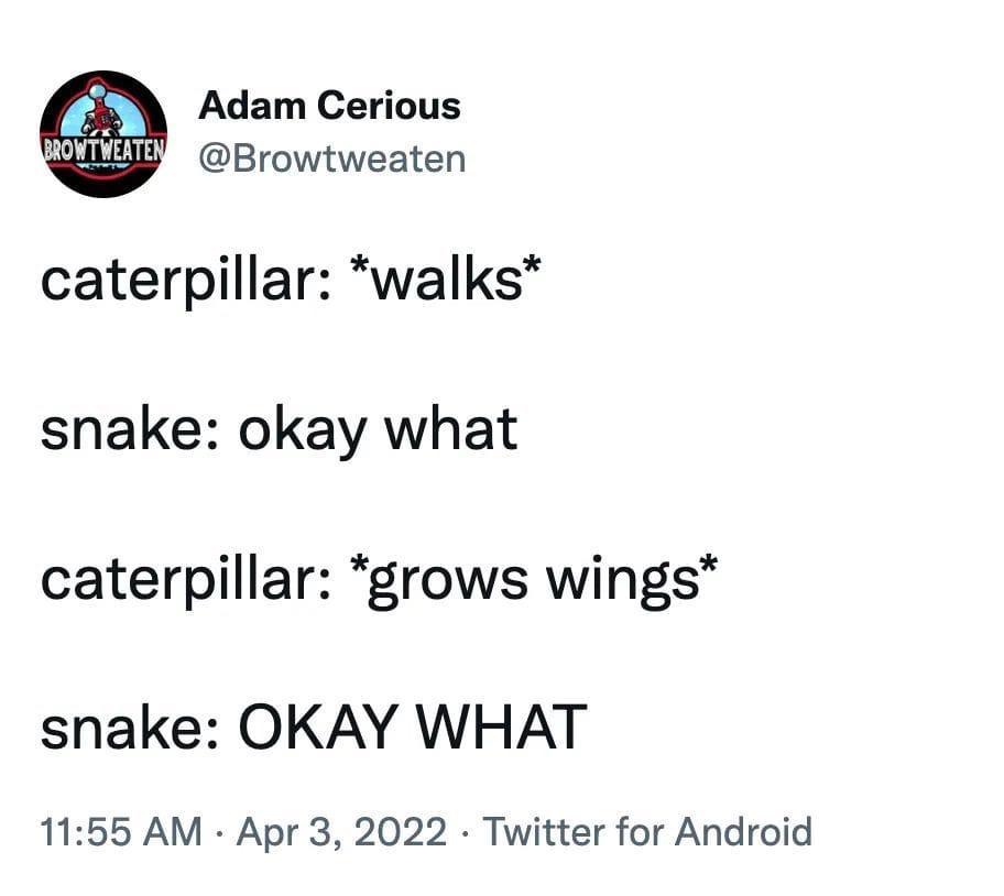 snakes+really+drew+the+short+end+of+the+stick