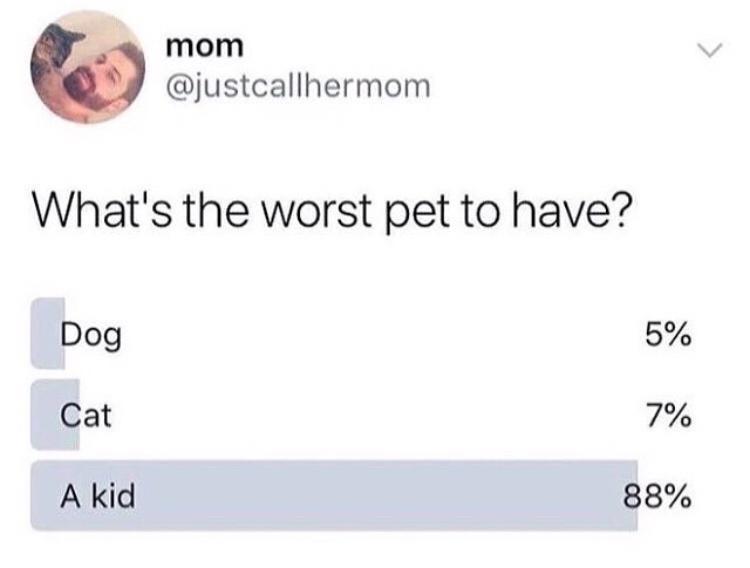 the+public+has+spoken