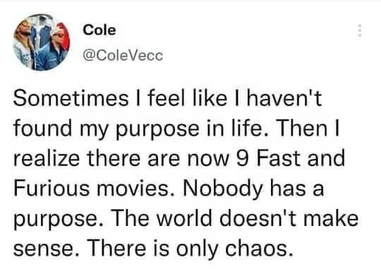 there+is+only+chaos+and+vin+diesel