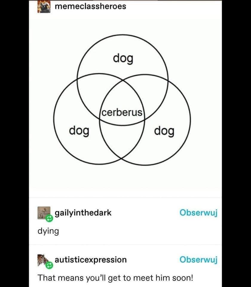 meeting+cerberus+soon