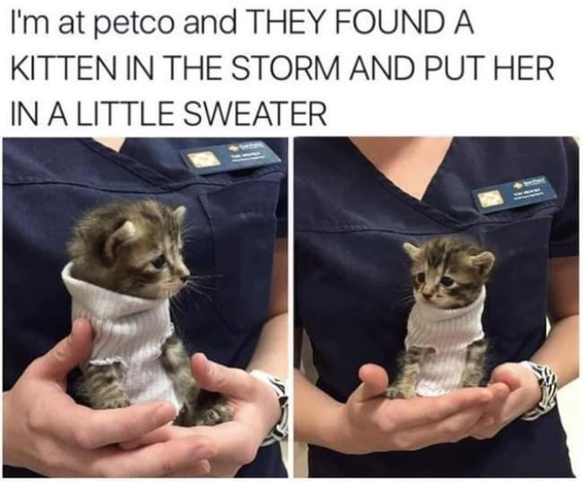 she+looks+so+sad%26%238230%3B