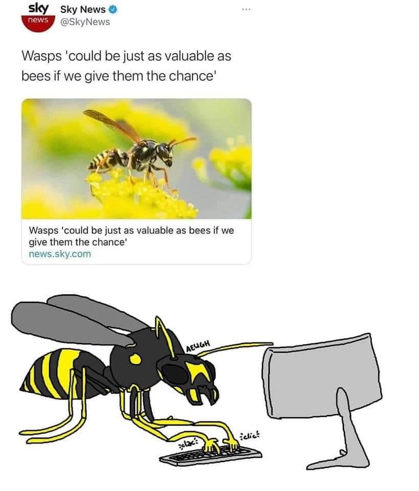 a+wasp+definitely+wrote+this