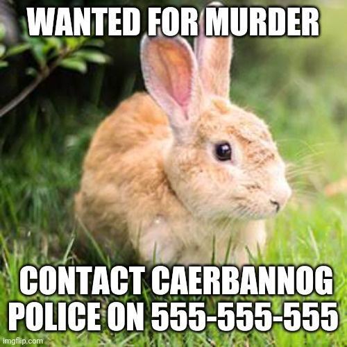 suspect+is+armed+and+adorable