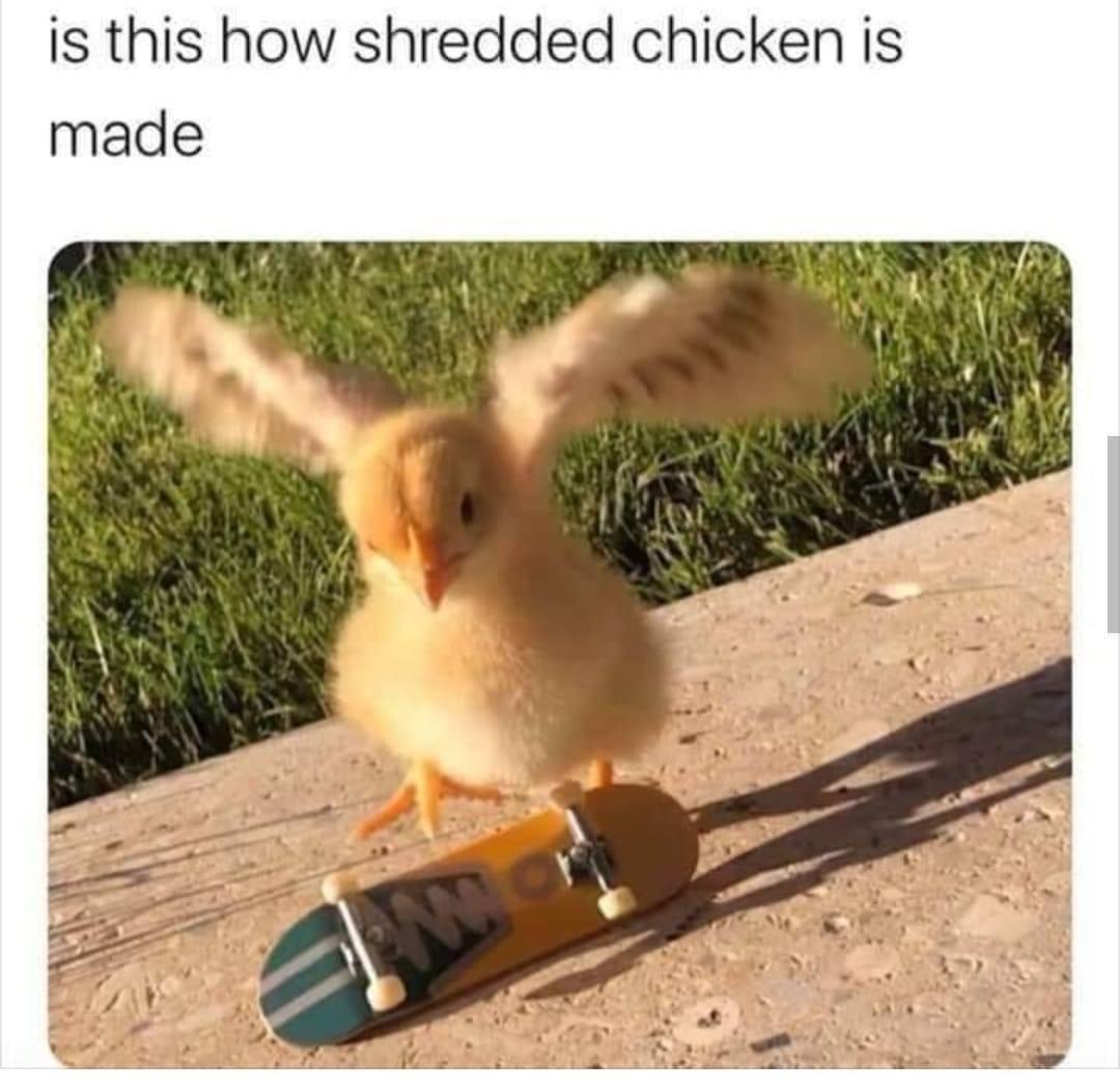 shredded+chicken