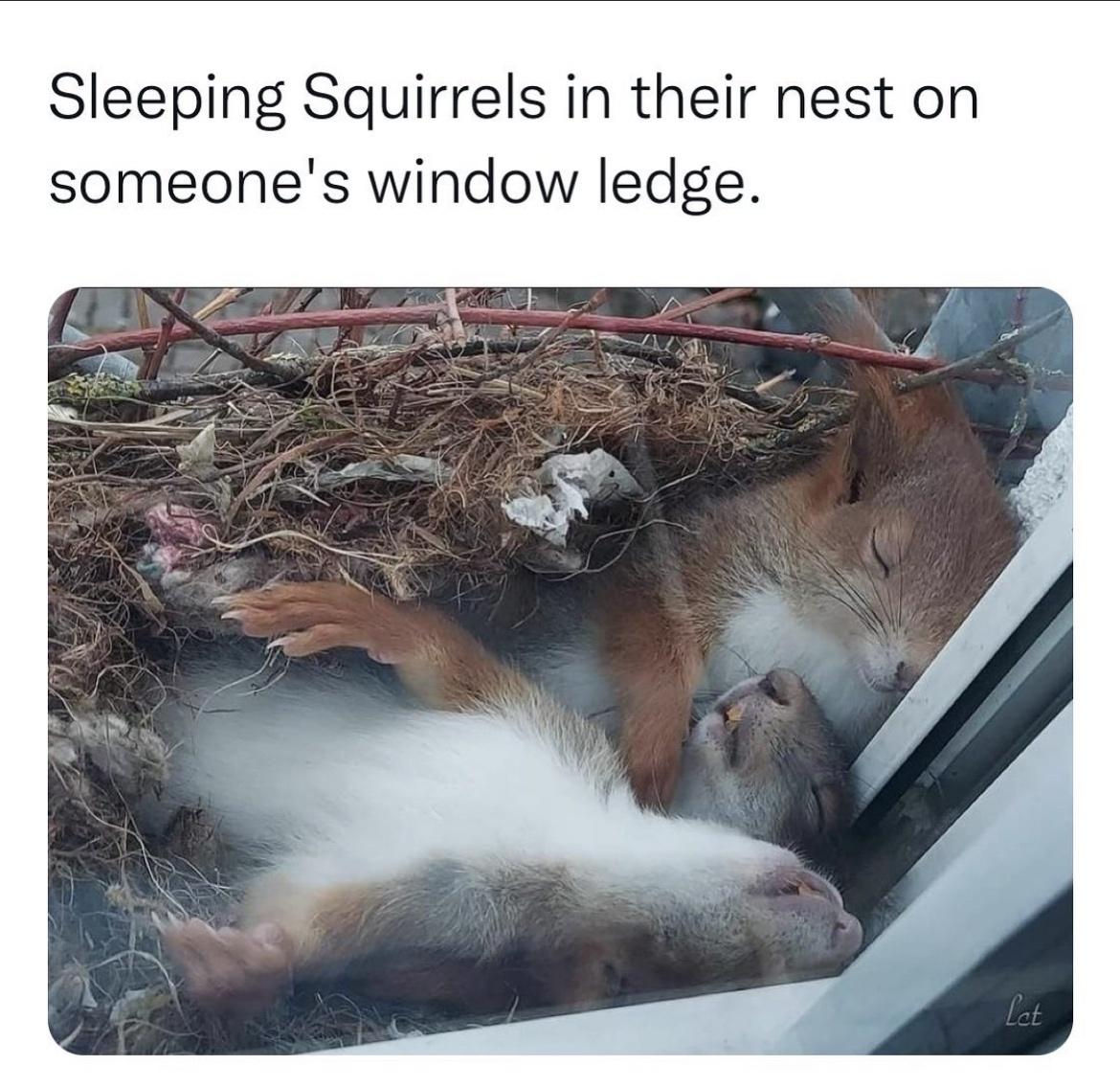 omg+let+the+sleep+as+long+as+they+need