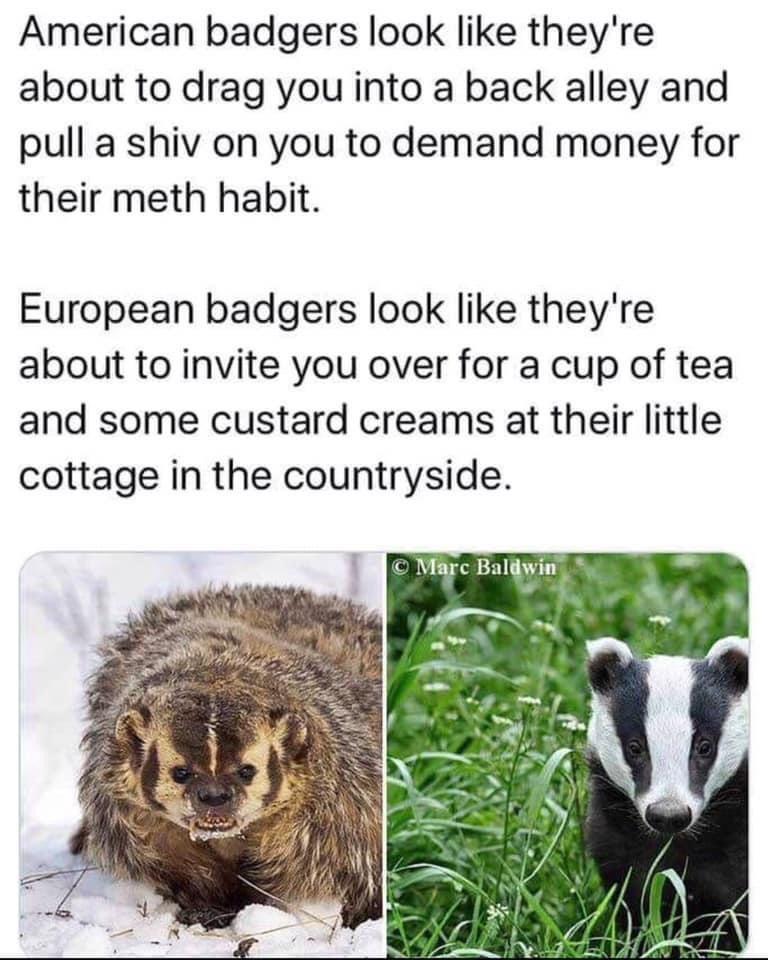 i%26%238217%3Bd+love+a+cup+of+tea%2C+thank+you%21