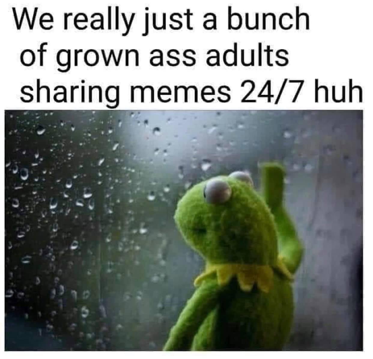 i+don%26%238217%3Bt+see+the+problem