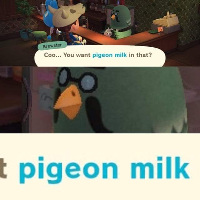 pigeon+milk