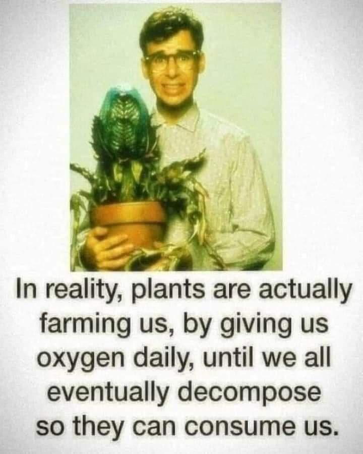 plants+have+been+farming+us+this+whole+time