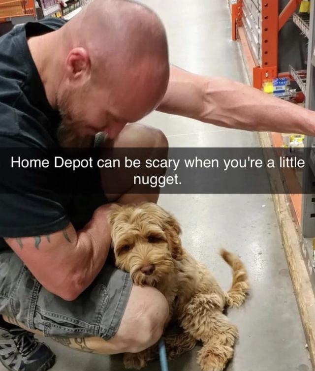 home+depot+doggo