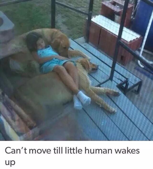 this+is+extremely+wholesome