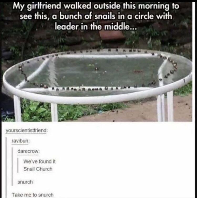 they%26%238217%3Bre+summoning+their+snail+god