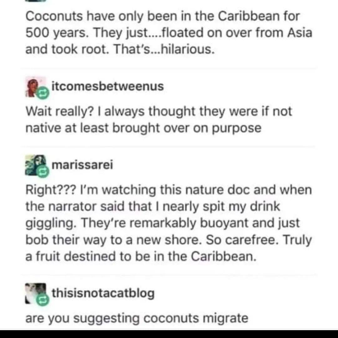 til+that+coconuts+self+migrate
