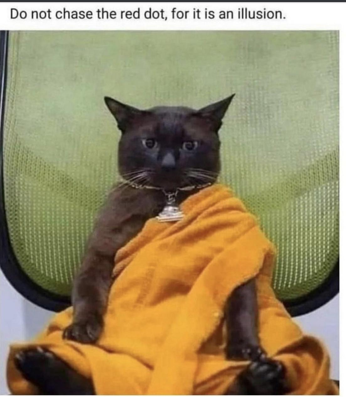 the+red+dot+isn%26%238217%3Bt+real