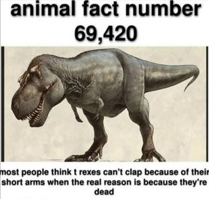 know+your+t-rex+facts
