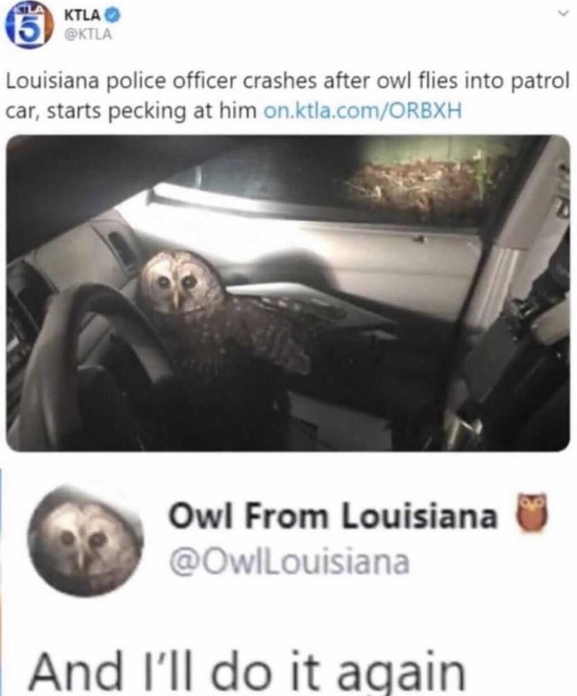owl+was+on+a+mission
