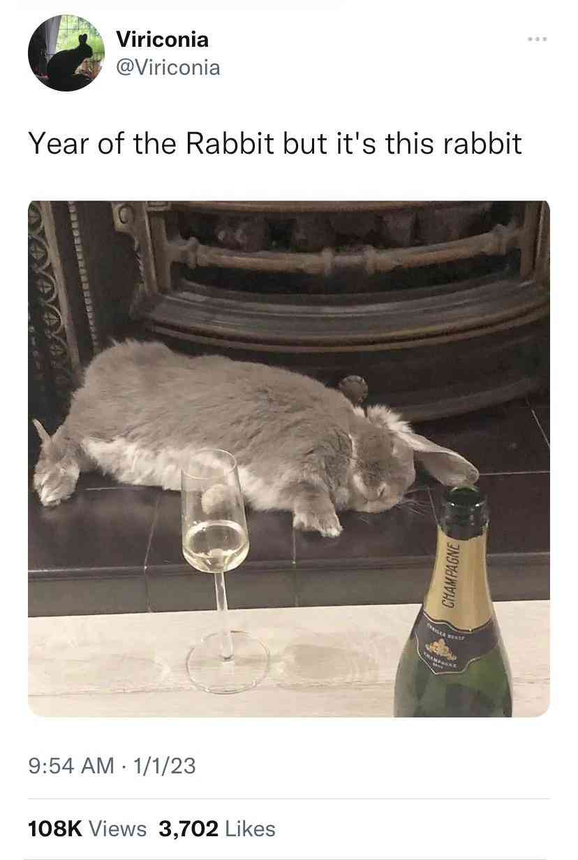 year+of+the+rabbit