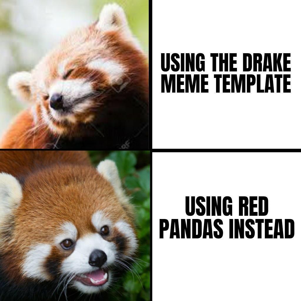 drake+pandas