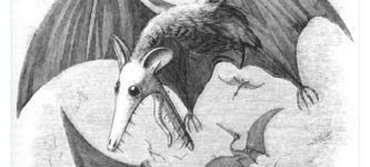 tim+burton+pterosaur