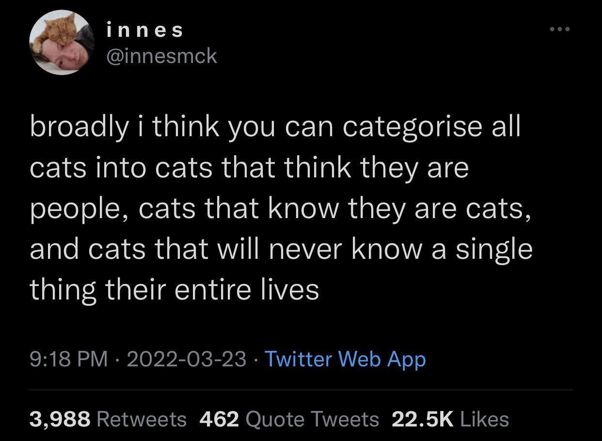 the+three+kinds+of+cats