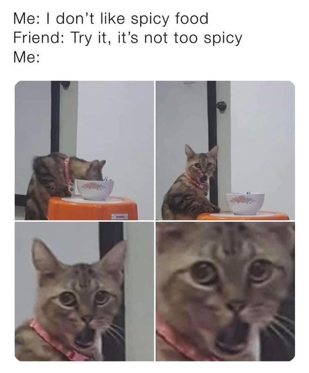 not+spicy+at+all.+see%21