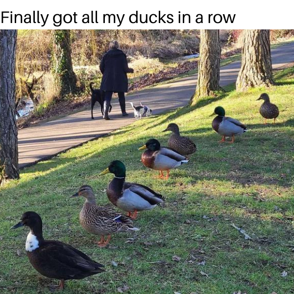 it%26%238217%3Bs+about+dang+time