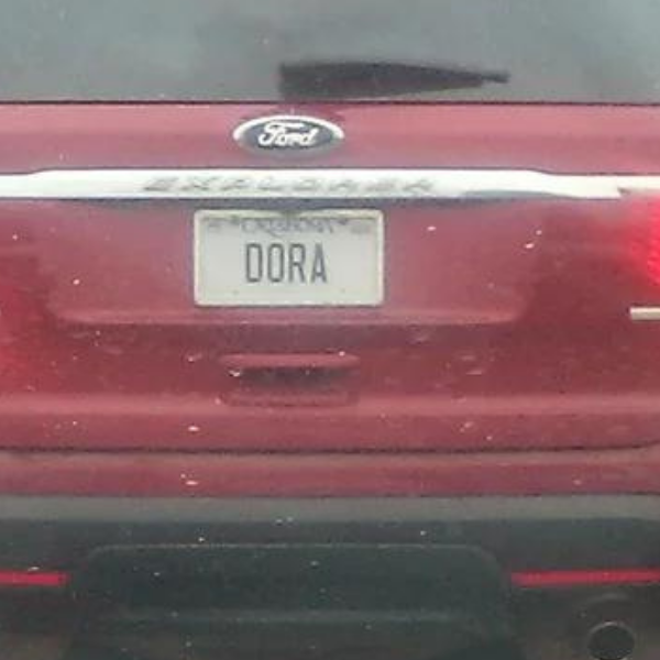 best+license+plate+name