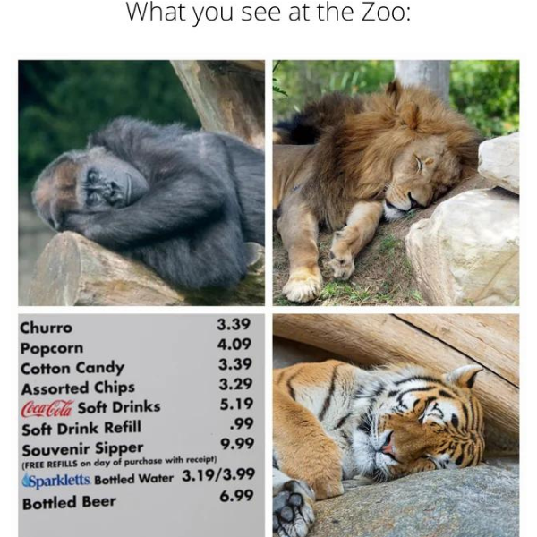 nothing+like+%244+zoo+water
