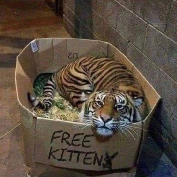 it%26%238217%3Bs+too+good+to+be+true