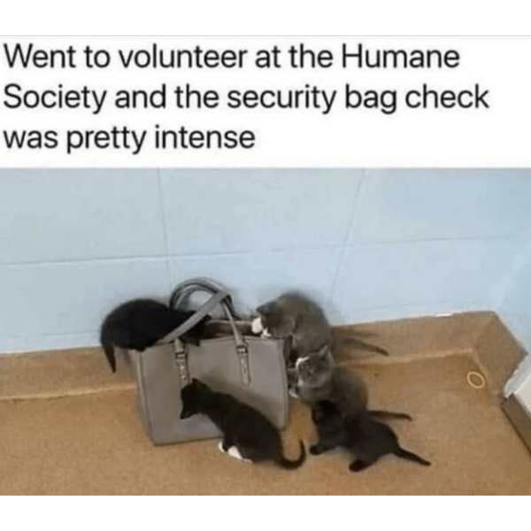 security+is+tight+around+here