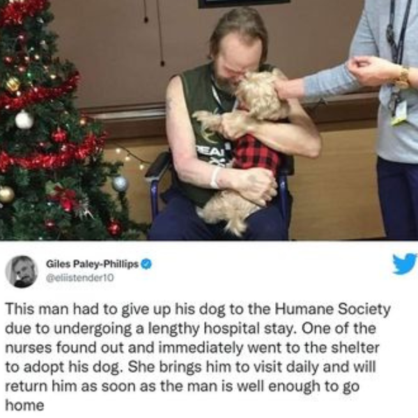 wholesome+meme+and+amazing+nurse%21