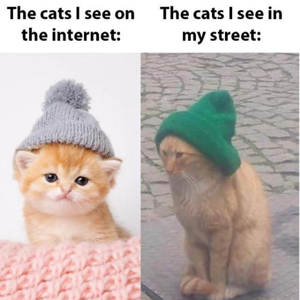 i+bet+they+use+photoshop