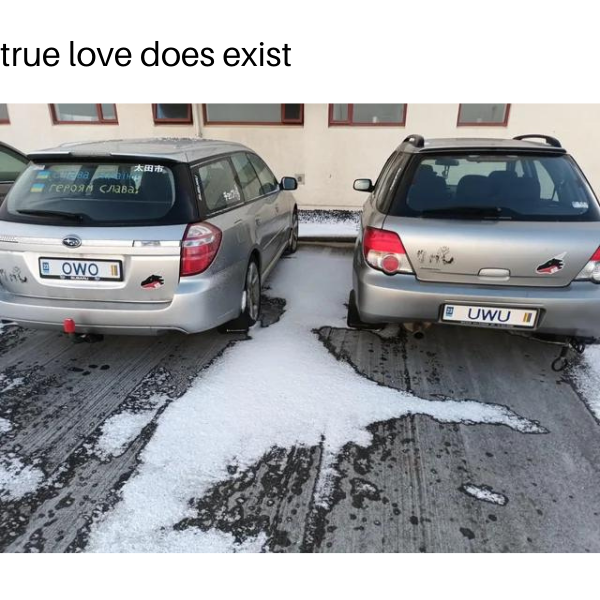 just+missing+a+rawr+xD