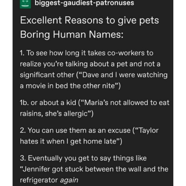 for+your+next+pet+adoption%26%238230%3B