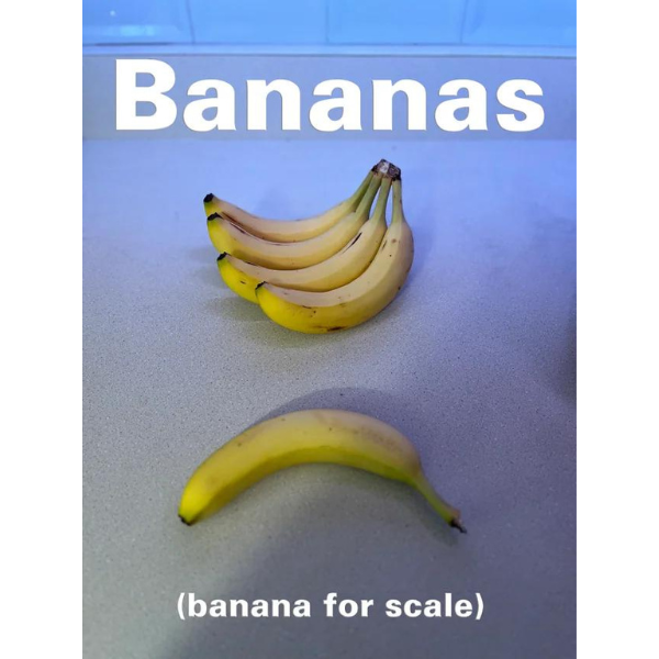 oh+that+helps+me+understand+that+so+much+better%2C+now