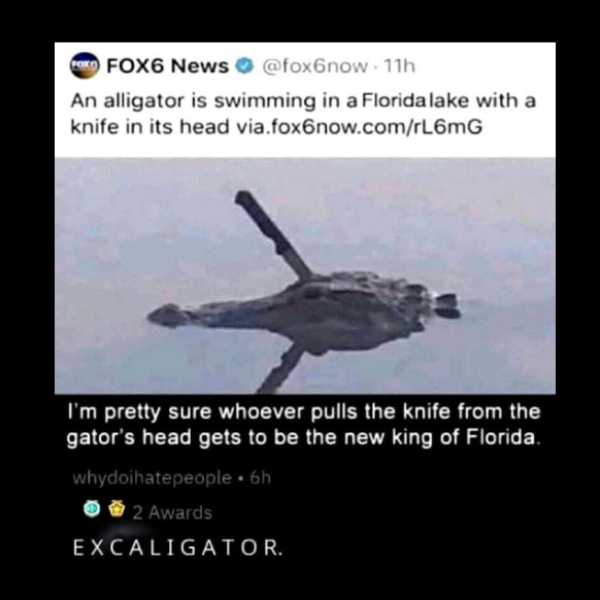 ah%2C+florida%2C+you+never+cease+to+entertain